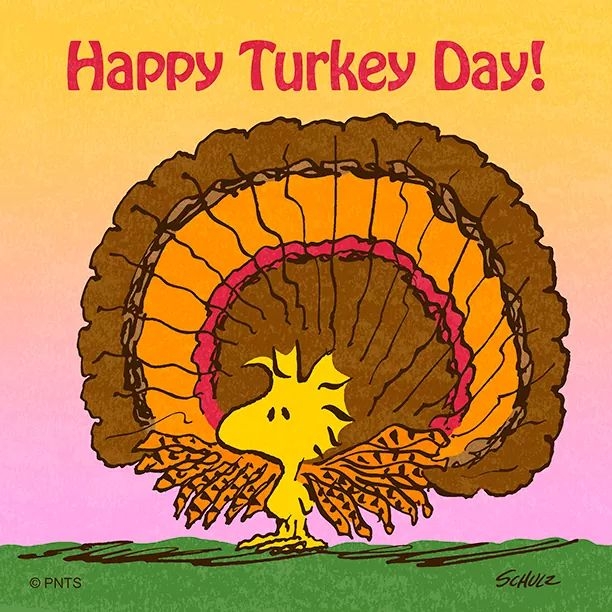 2019-11-28 Turkey Day Woodstock.jpg
